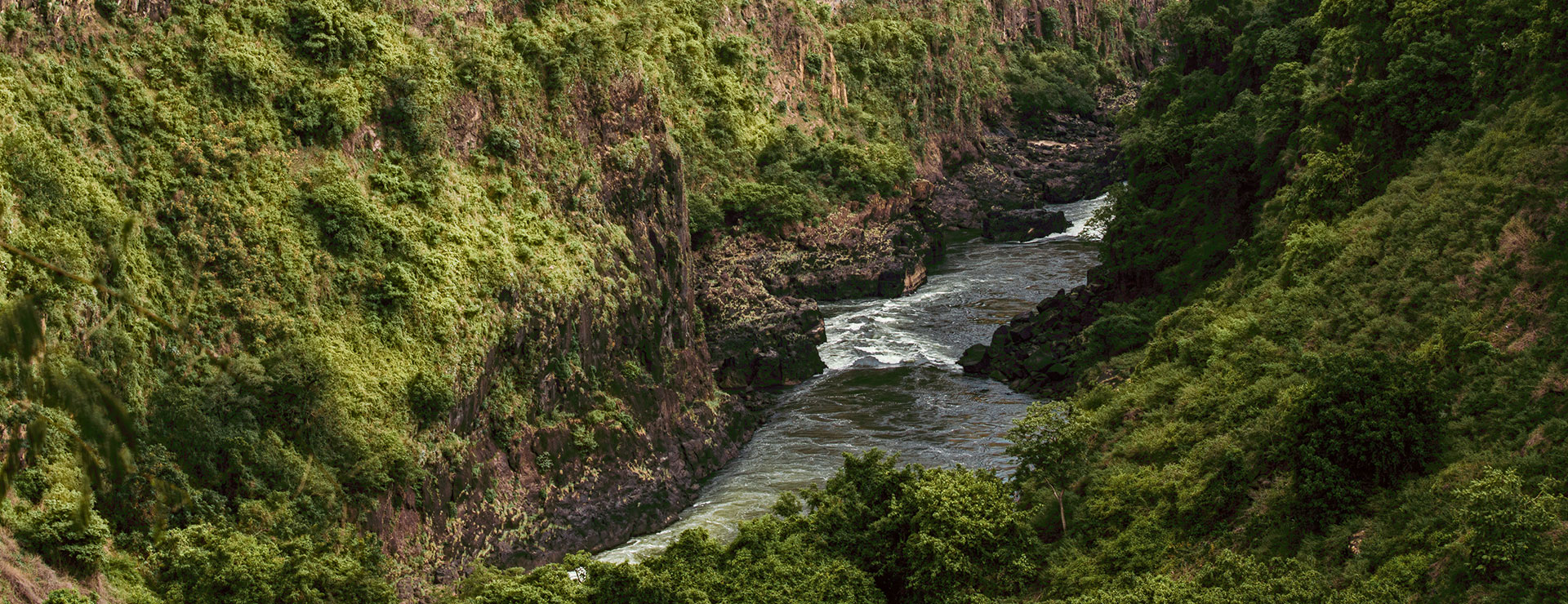 Let S Secure Zambezi Zambezi River Restoration Project   Slider 2 